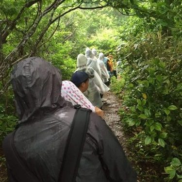 歩こう会2017